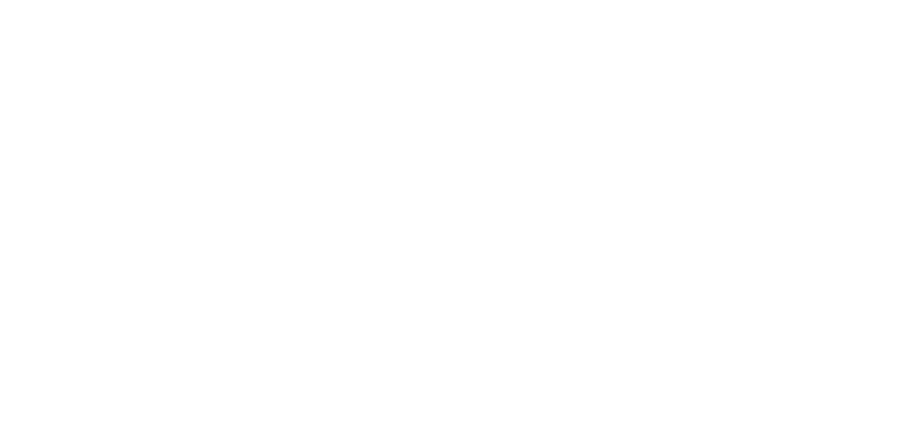 MW Window Tinting